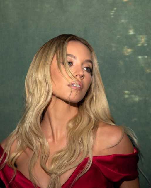 Голая Сидни Суини фото 36